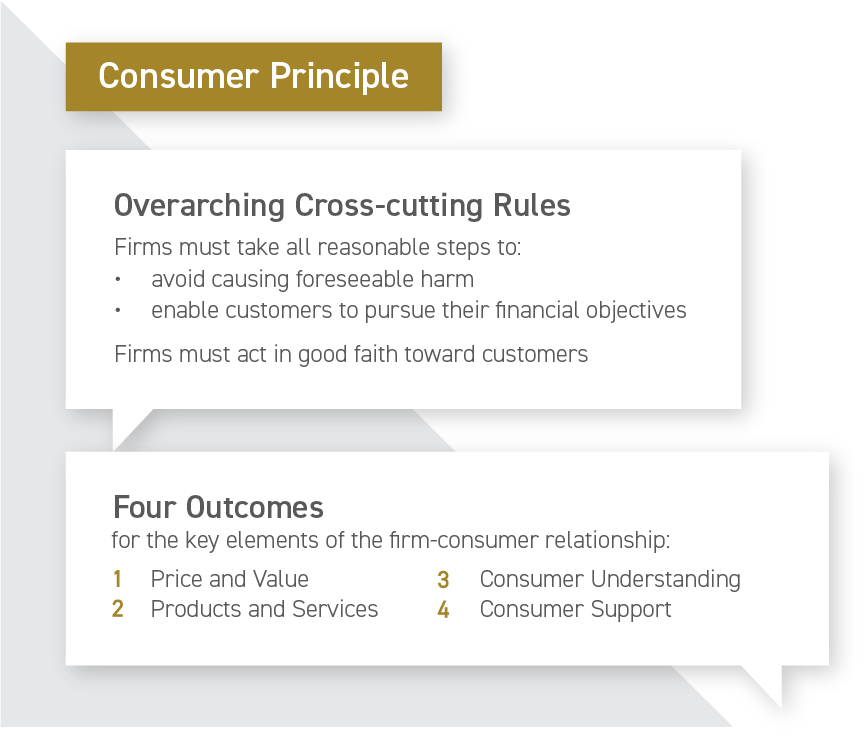 Consumer duty principles image